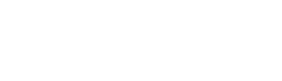 BIG — Business Improvement Group